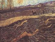 Vincent Van Gogh Enclosed Field with Ploughman (nn04) USA oil painting reproduction